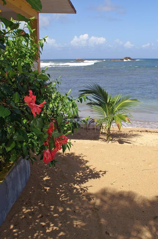 Veranda View Guesthouse Calibishie Bagian luar foto