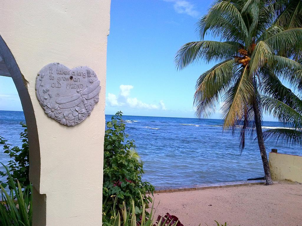 Veranda View Guesthouse Calibishie Bagian luar foto